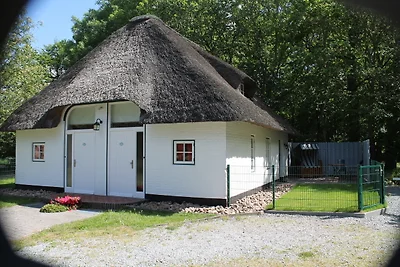 LUV im Sattlerhof