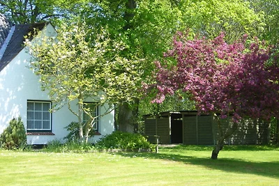LEE im Sattlerhof