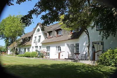 LEE im Sattlerhof