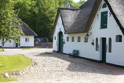 LUV im Sattlerhof