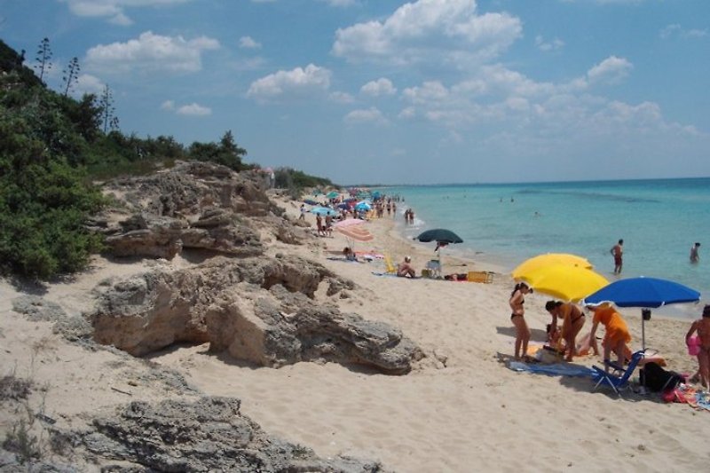 Strand Juli
