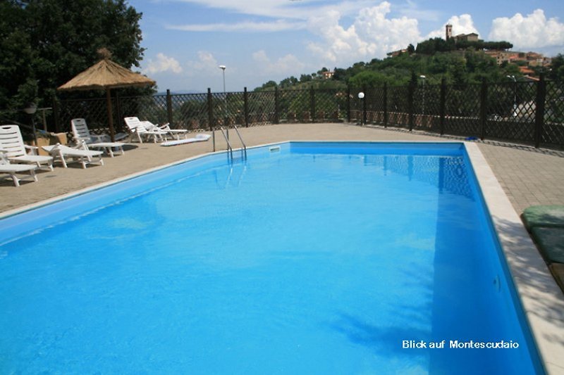 Pool mit Blick auf Montescudaio