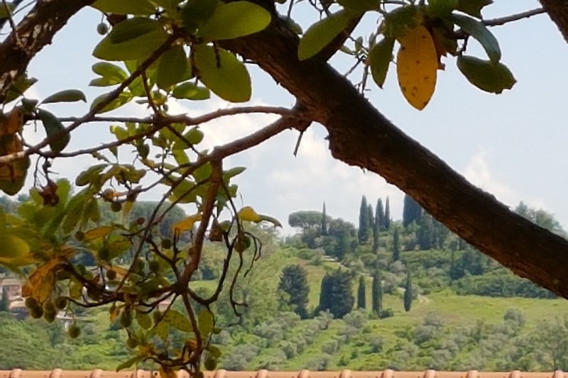 Vom Garten auf den Hügel gegenüber:Toscana pur!