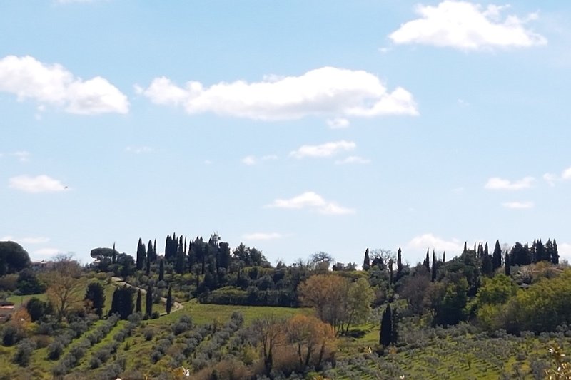 Blick auf den Hügel gegenüber, Toscana pur!