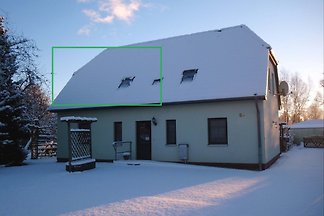 Landhaus am Teich FeWo grün