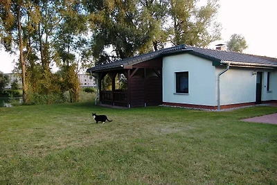 Landhaus am Teich Ferienhaus lila