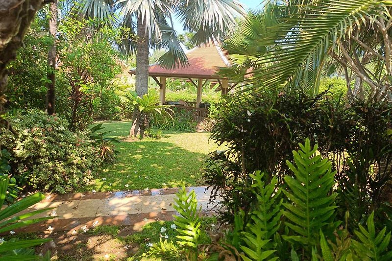 Tropischer Garten mit Palmen, tropischer Vegetation und blauem Himmel.