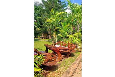 Jungle House Beatrix