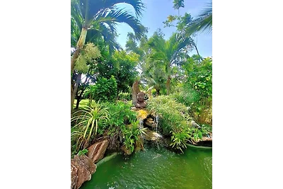 Jungle House Beatrix