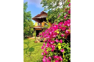 Jungle House Beatrix