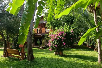 Jungle House Beatrix