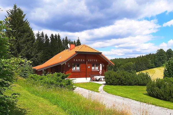 Ferienhaus Bärnkopf