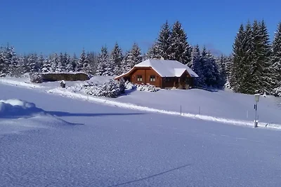 Casa vacanze Vacanza di relax Bärnkopf