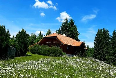 Casa vacanze Vacanza di relax Bärnkopf