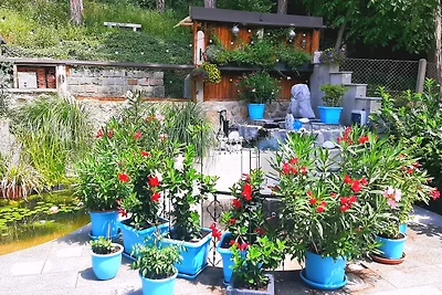 Vakantieappartement Gezinsvakantie Baden