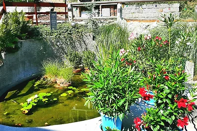 Vakantieappartement Gezinsvakantie Baden