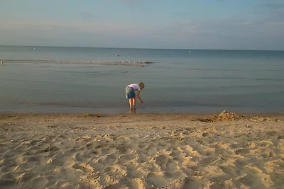 Baltic Sea Quartet in Möskenweg 5 Whg 5