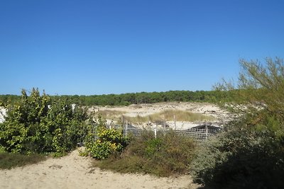 Oree de la Dune