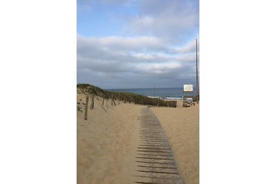 Les Vagues 2, Hossegor