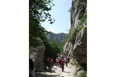 apartmani koko-Seline