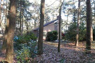 Unsere schöne Waldhaus