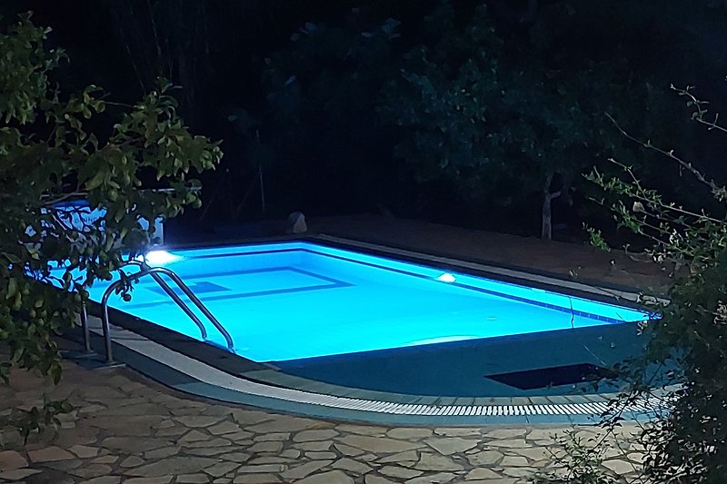 Schwimmbecken mit blauem Wasser, umgeben von Pflanzen und Außenmöbeln.