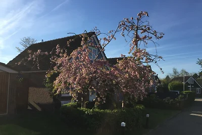 Casa Blomgue