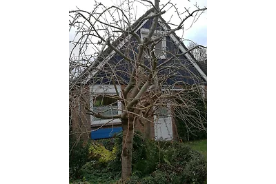 Casa Blomgue