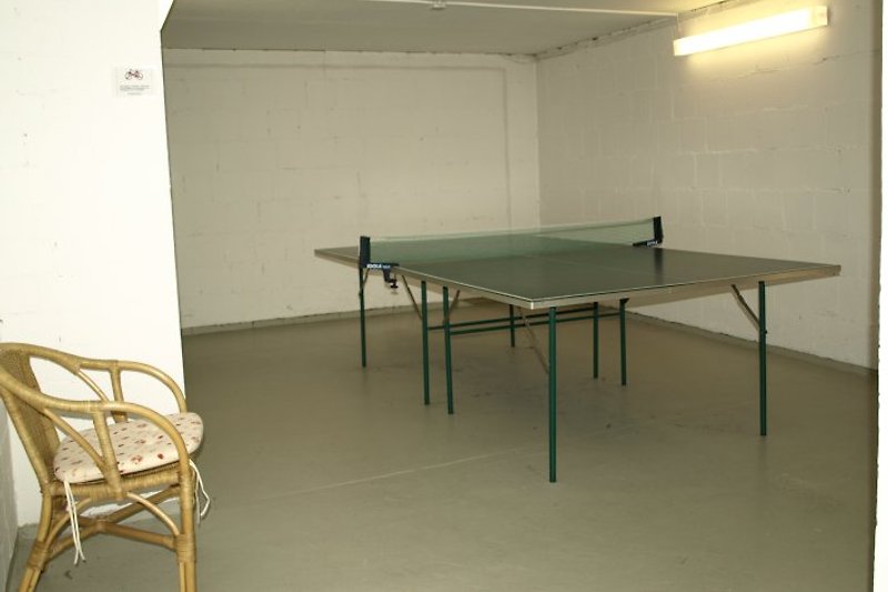 Table tennis room