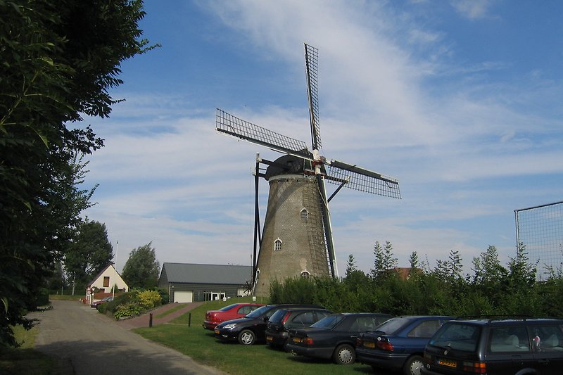 die Mühle in Nieuwvliet kann man besuchen 