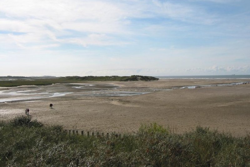 široke plaže Nieuwvlieta na obali Sjevernog mora