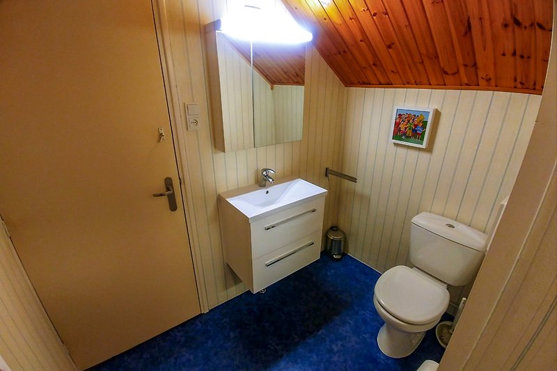 badkamer met wastafel toilet en douche