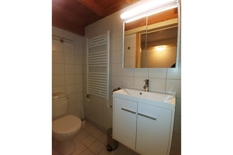 bAthroom.  toilets, shower hand-wash basin (apartment right)