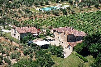 Weingut Fattoria di Montecchio, T