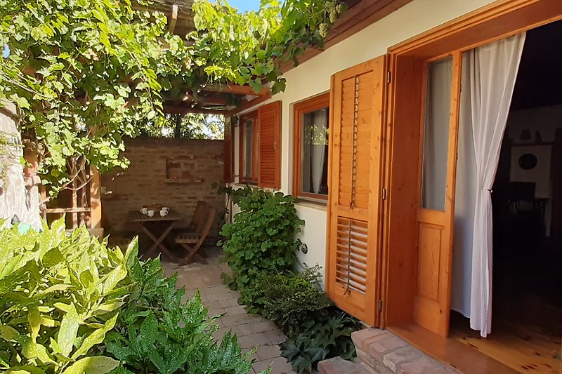 Haus mit Holzfassade, Fenstern, Tür, Garten und Pflanzen.