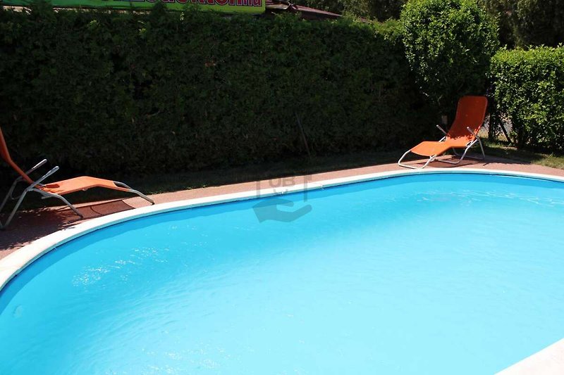 Ein rechteckiger Pool mit azurblauem Wasser und grüner Umgebung.