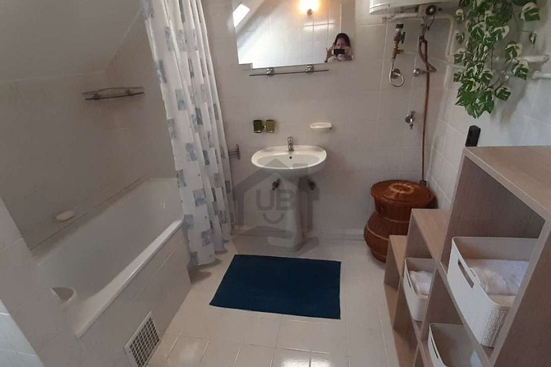 Modernes Badezimmer mit Badewanne, Duschkopf und Fensterblick.
