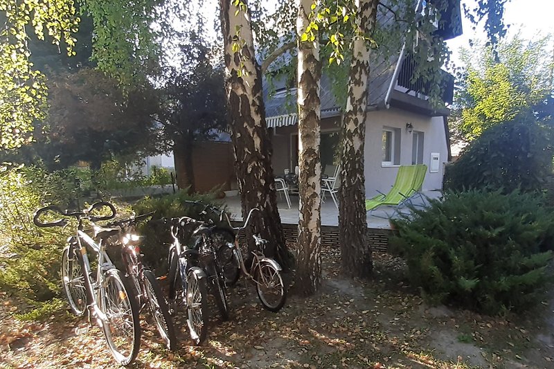 Schönes Haus mit Fahrrädern, Pflanzen und Wald. Natur und Aktivitäten.