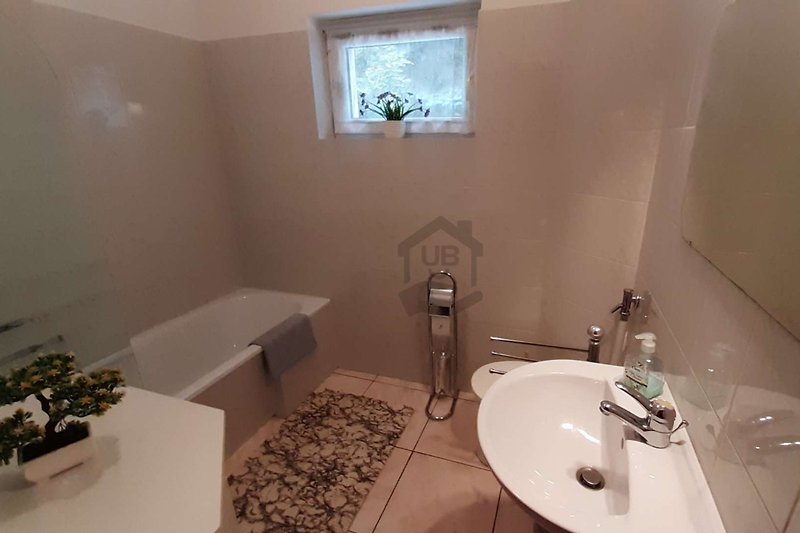Schönes Badezimmer mit stilvollem Interieur und lila Waschbecken.