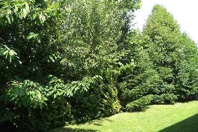 Casa di vacanza REKA