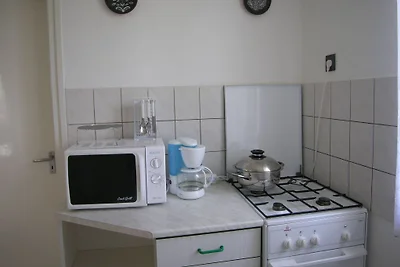Casa Juci al Lago Balaton con animale domestico
