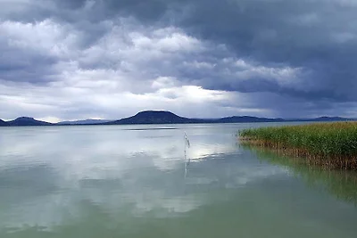 Ferienhaus Alexandra mit Hunde