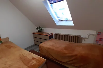 Ferienhaus Alexandra mit Hunde