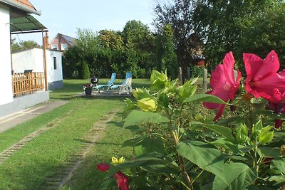 Hibiscus Huis met Wi-Fi