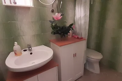 Haus Annuska mit Klimabenutzung