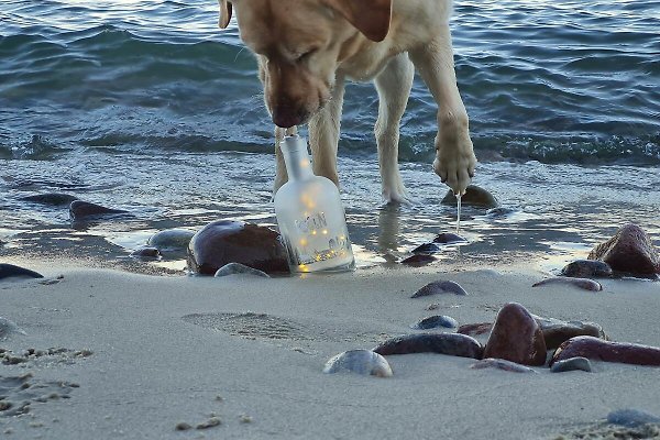 Ferienwohnung Lancken-Granitz