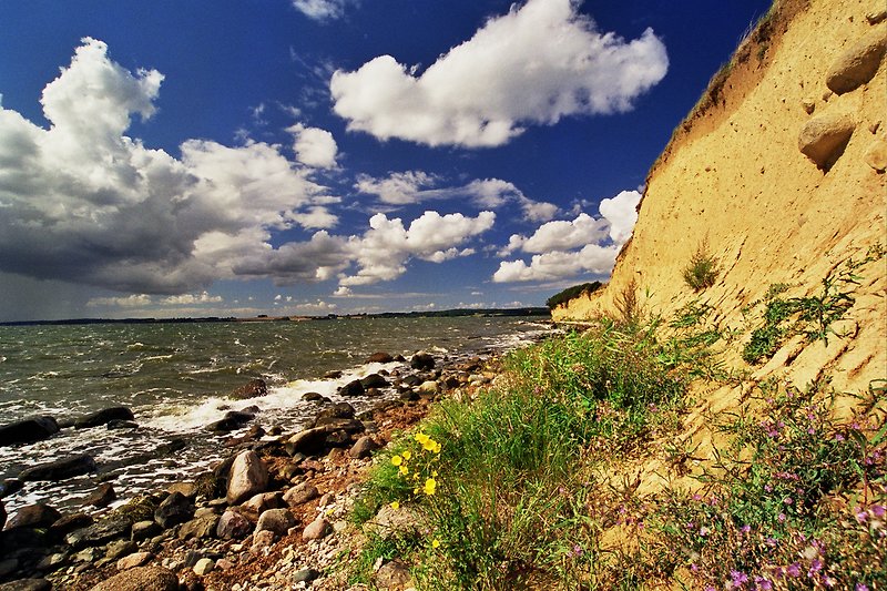 Küstenlandschaft mit Klippen, Wellen und üppiger Vegetation.