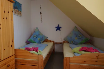 Zeesterren