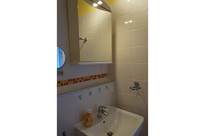 Zeesterren
