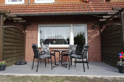 Zeesterren